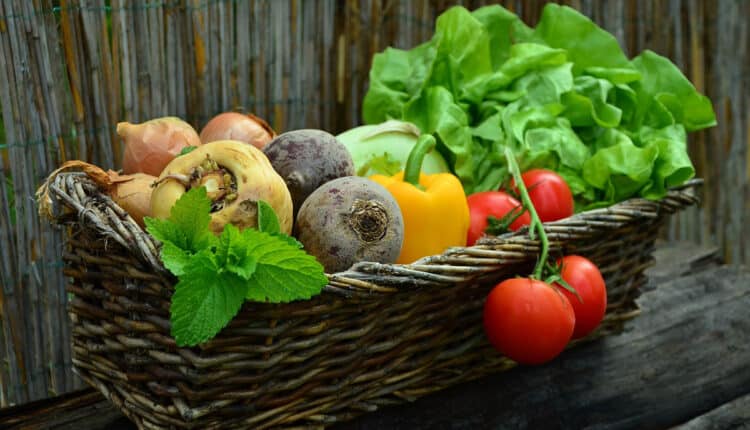 Quer fortalecer os ossos? Conheça 10 principais vegetais que vão te ajudar 2 10 principais vegetais que vão te ajudar a fortalecer os ossos