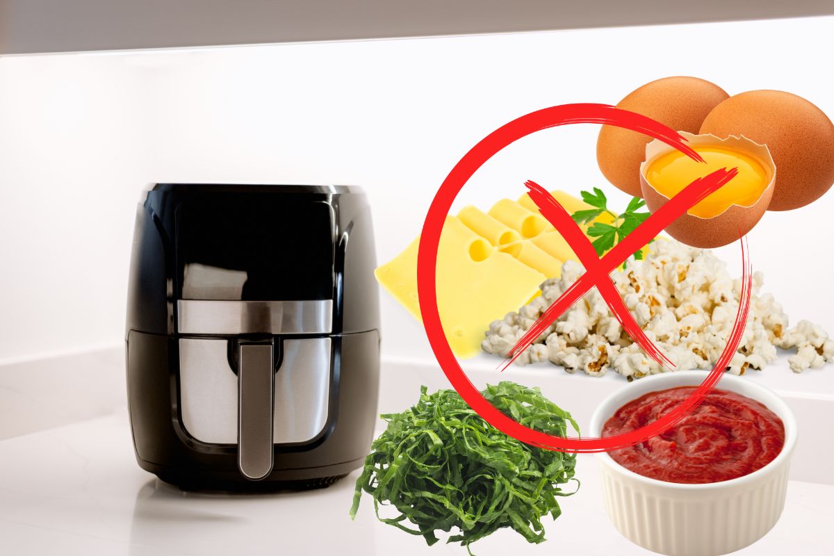 É PROIBIDO! Veja os alimentos que não podem ir para a air fryer 2 o que não ir para a airfryer