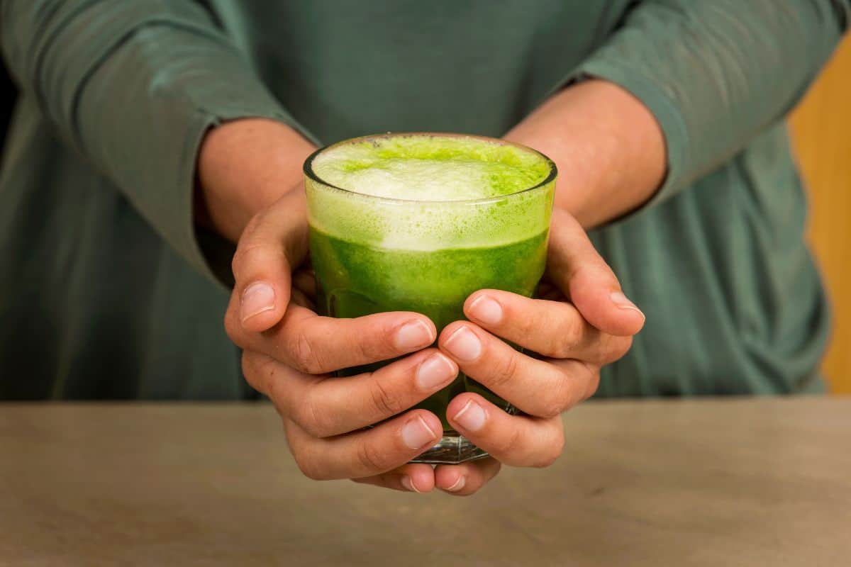 Ora-pro-nóbis cura doenças? Conheça os benefícios, como usar e efeitos colaterais 3 suco verde de ora-pro-nóbis