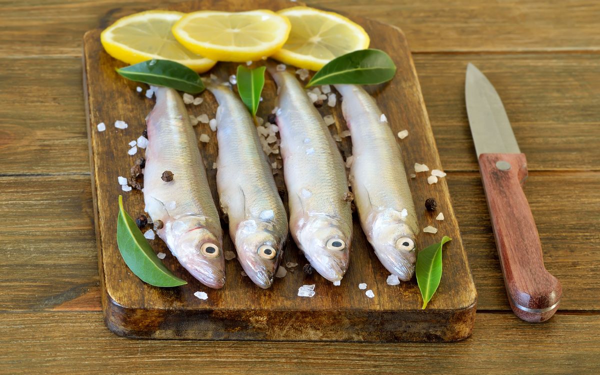 Você gosta de peixe? Então, confira os mitos e verdade sobre essa proteína 1 carne de peixe