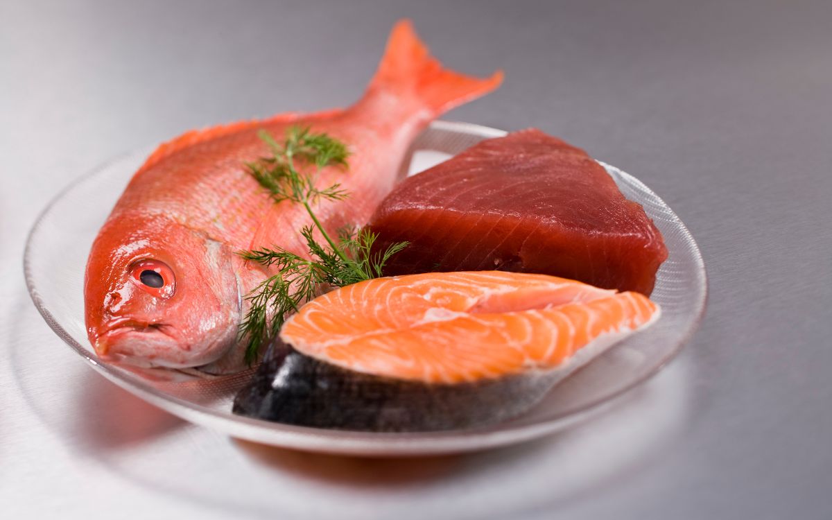 Você gosta de peixe? Então, confira os mitos e verdade sobre essa proteína 2 Mitos e verdades sobre o peixe