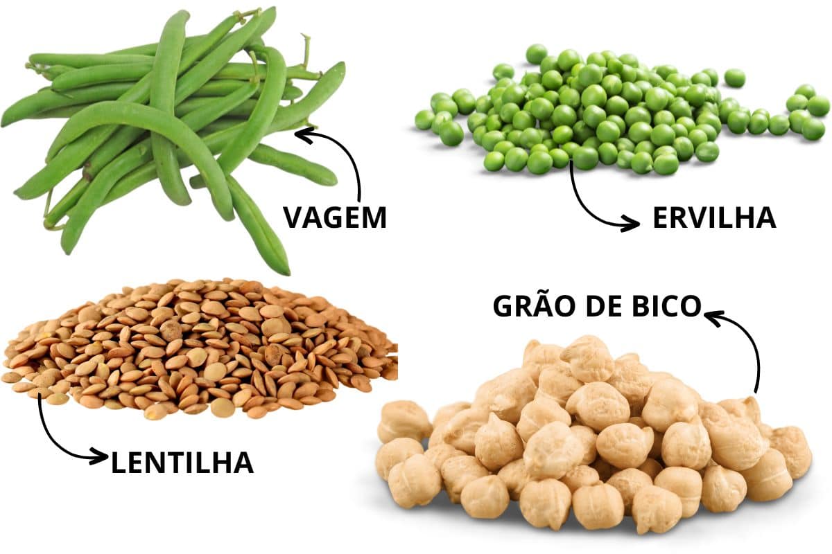 6 alimentos nutritivos para substituir o feijão tradicional e variar os seus pratos 2 opções para substituir o feijão