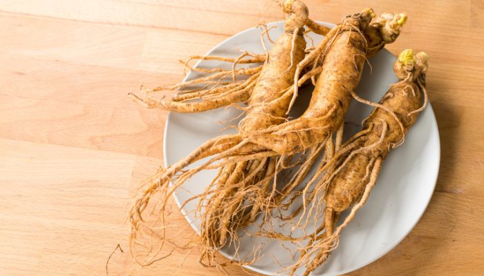Ginseng: conheça seus benefícios e as melhores combinações 2 Ginseng