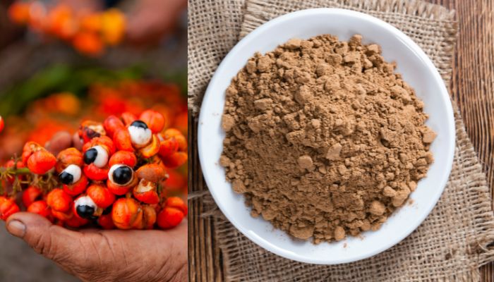 Guaraná em pó: conheça os benefícios e malefícios 2 Guaraná em pó