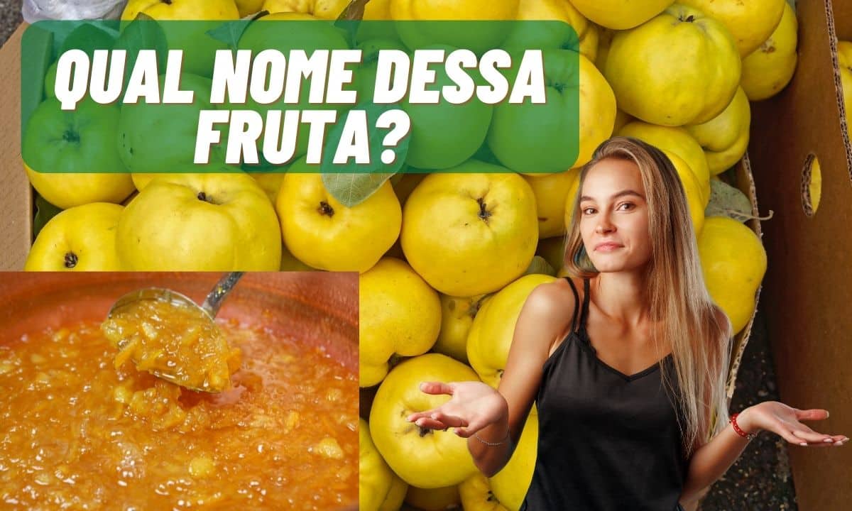 Marmelada é feita de que fruta? Faz bem para saúde? Descubra! 1 Marmelada é feita de que fruta?