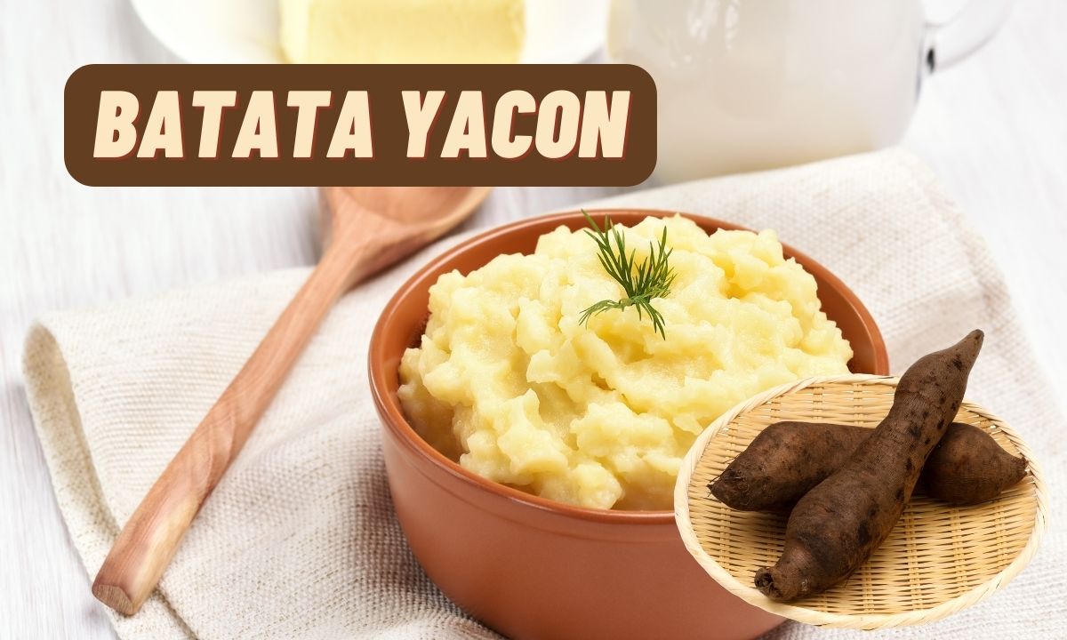 Purê de batata yacon: acompanhamento perfeito para quem tem diabetes 1 Purê de batata yacon