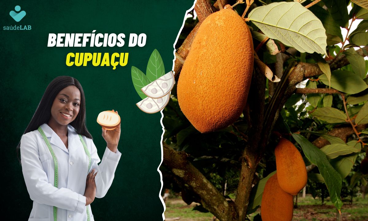 Benefícios do Cupuaçu: conheça as vantagens de consumir essa fruta 1 Benefícios do Cupuaçu.