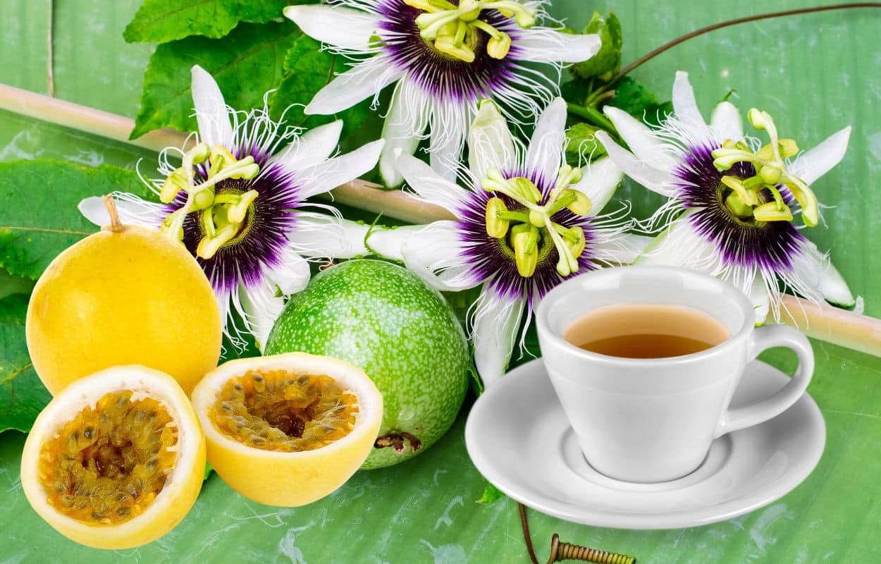Chá de Passiflora: saiba como fazer e aproveitar todos os seus benefícios 1 Chá de Passiflora.