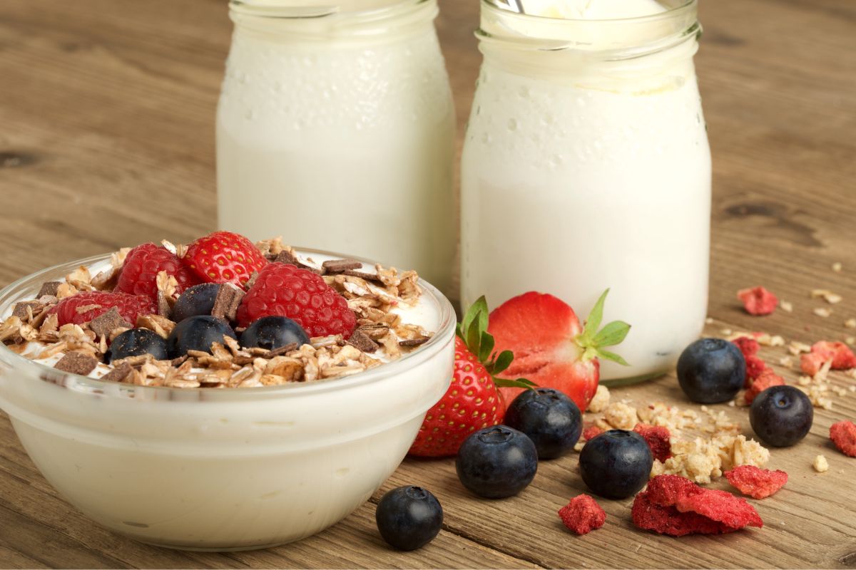 Iogurte Vegano Caseiro: aprenda a preparar com 3 sabores deliciosos 1 Iogurte vegano caseiro