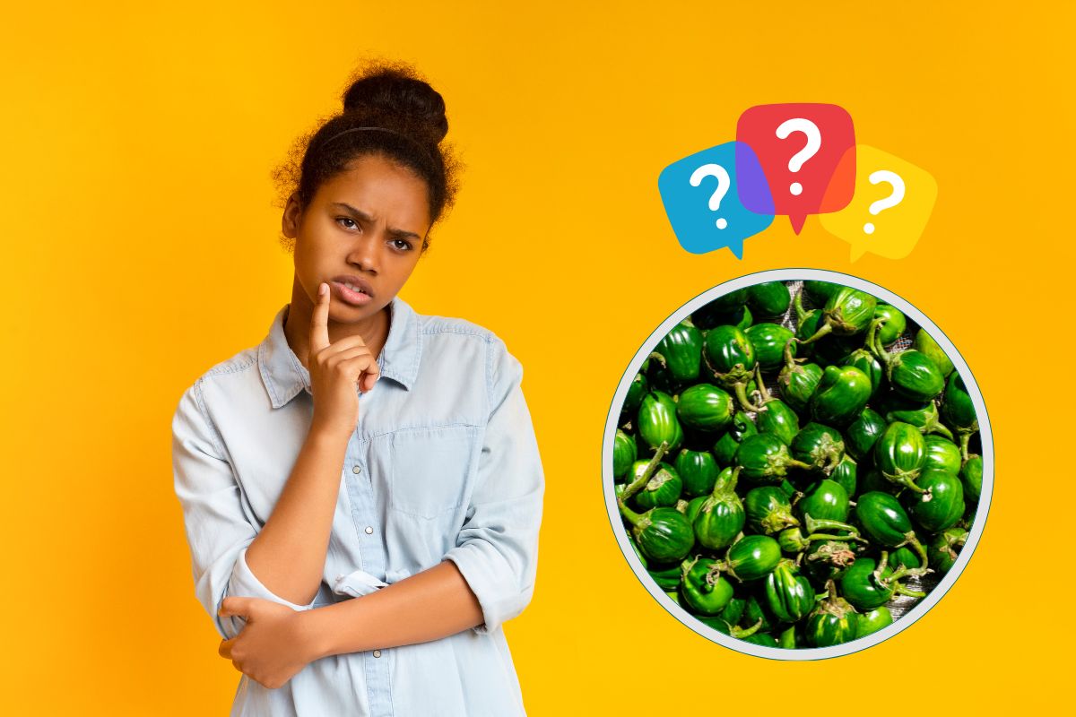 Jiló é low carb? Conheça seus benefícios e se vale a pena incluir na dieta 1 Jiló é low carb.