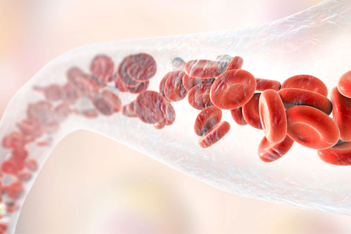 O que é reumatismo no sangue? Será que tem cura? Entenda 2 O que é reumatismo no sangue