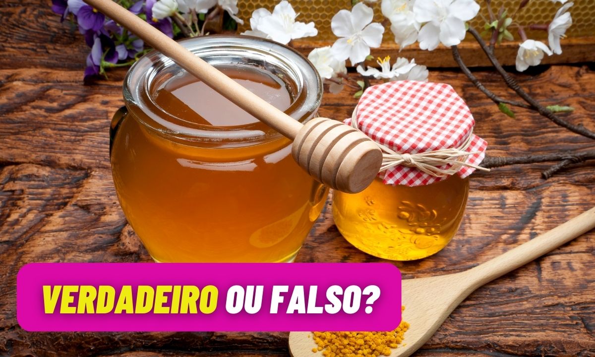 Conheça os benefícios do mel para saúde e saiba diferenciar o produto falso 1 Benefícios do mel.