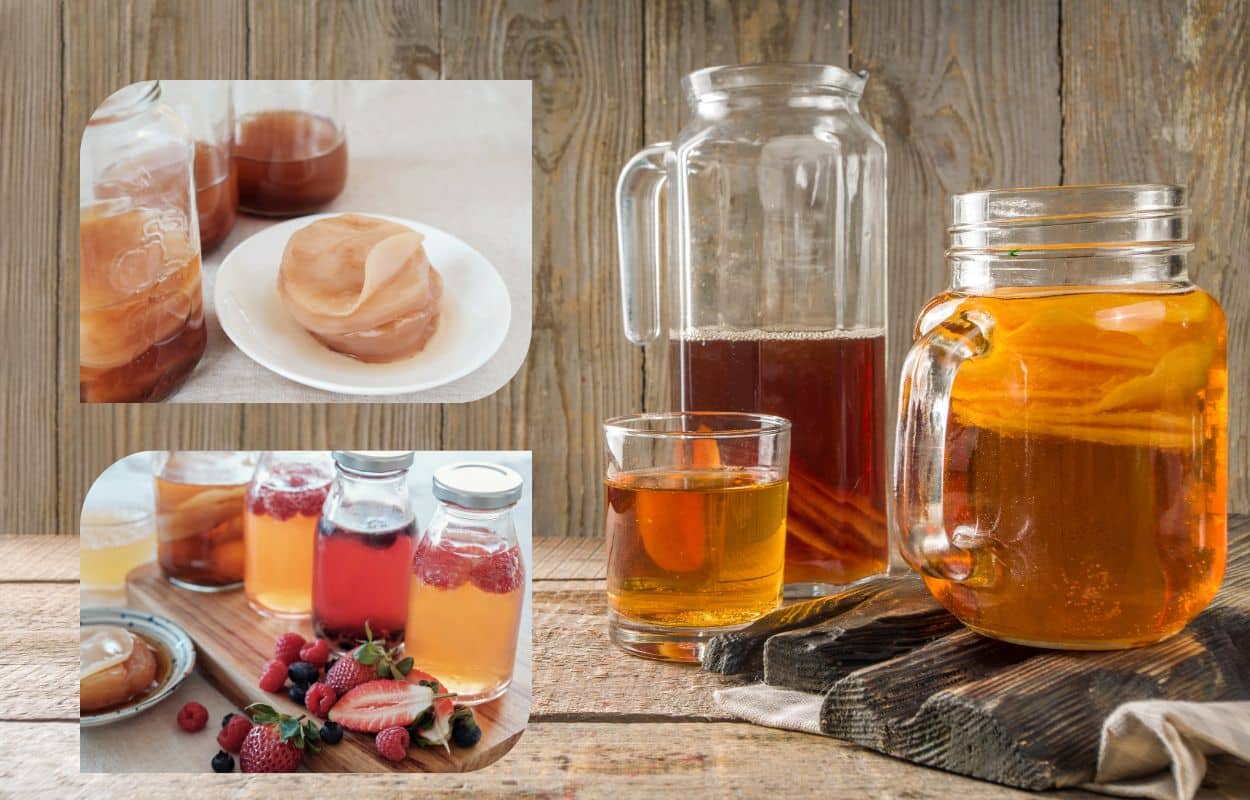 Como fazer Kombucha? Aprenda a forma correta de armazenamento 1 Como fazer kombucha?
