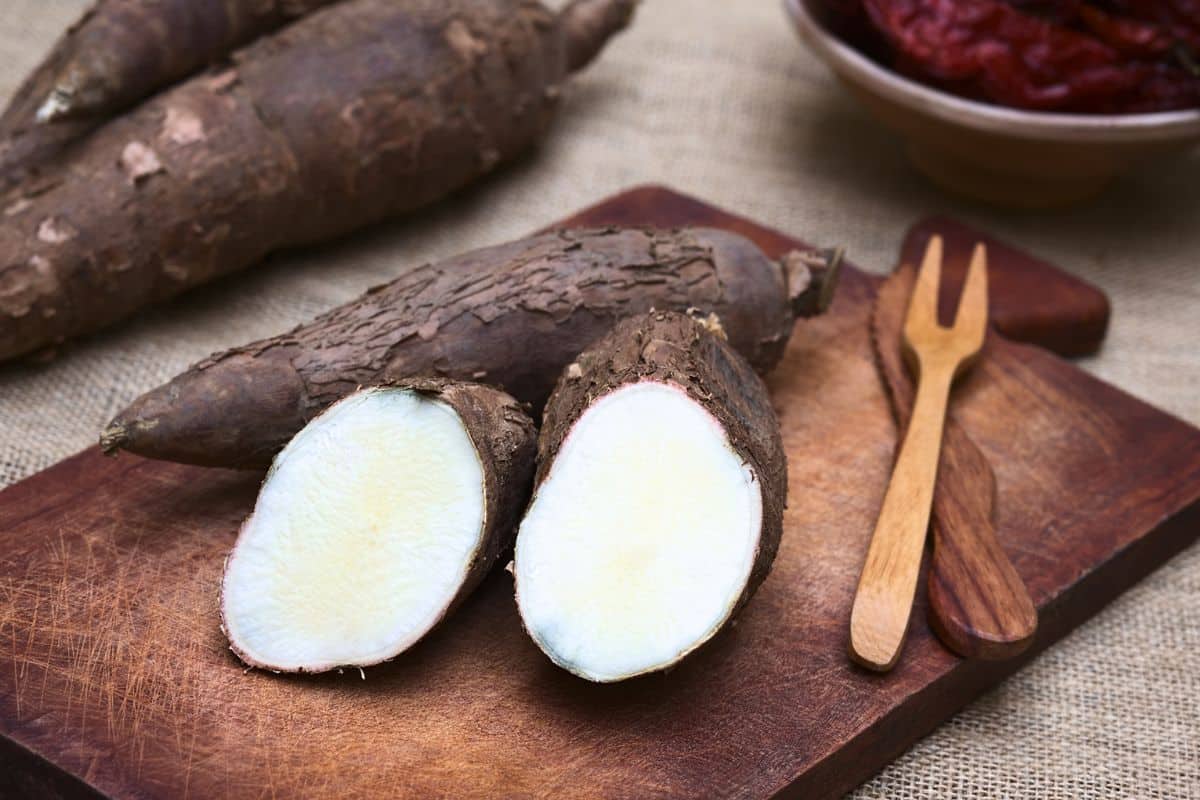 Benefícios da mandioca: tudo que você precisa saber sobre esse super alimento 2 Benefícios da mandioca: tudo que você precisa saber sobre esse super alimento