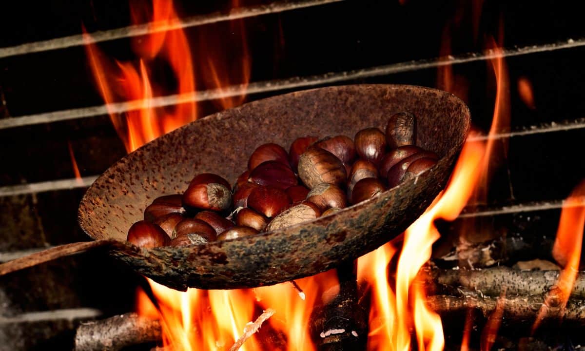 Benefícios das Castanhas Portuguesas: conheça mais e aprenda 2 receitas incríveis 2 Castanhas Portuguesas.