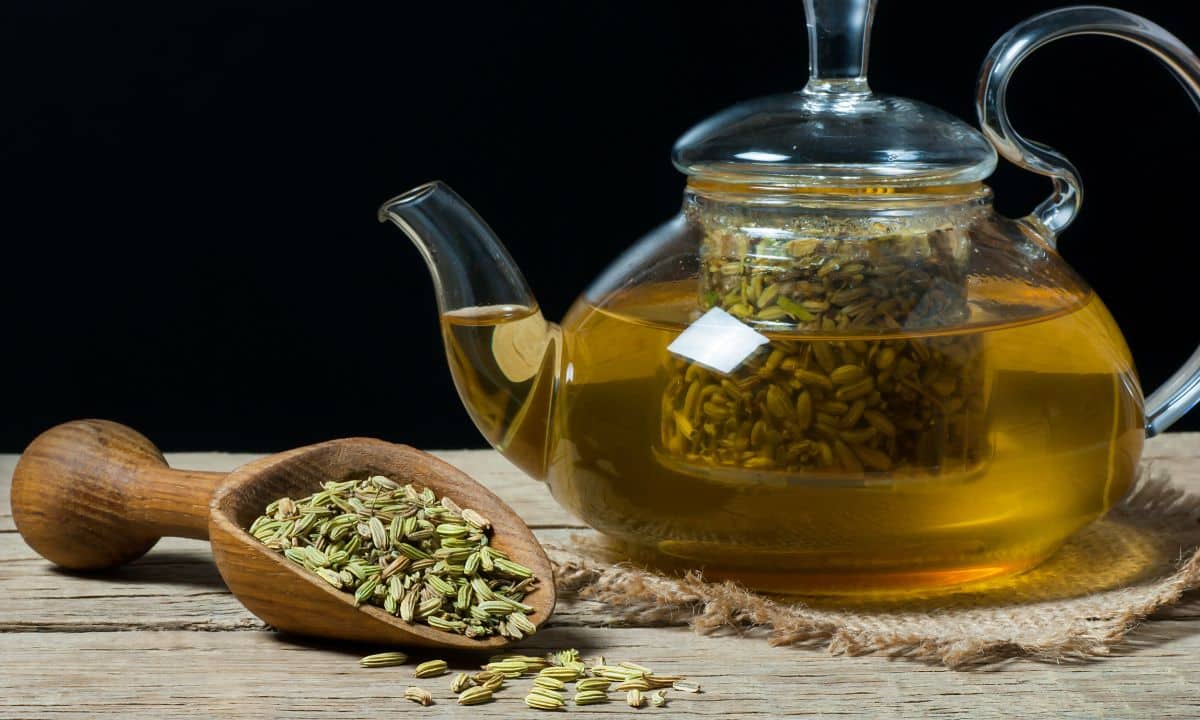 Erva-Doce e Funcho são a mesma coisa? Saiba mais sobre essas plantas 1 Erva-doce e funcho.