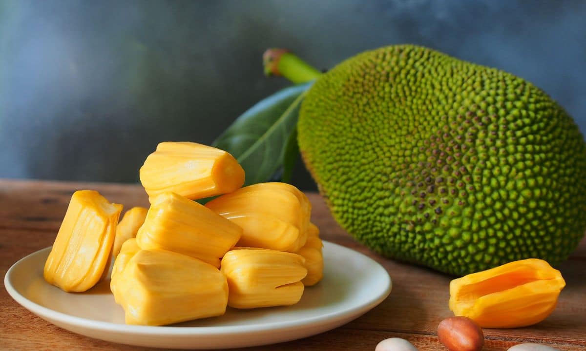Benefícios da Jaca: saiba as razões para investir na fruta 1 Benefícios da Jaca.