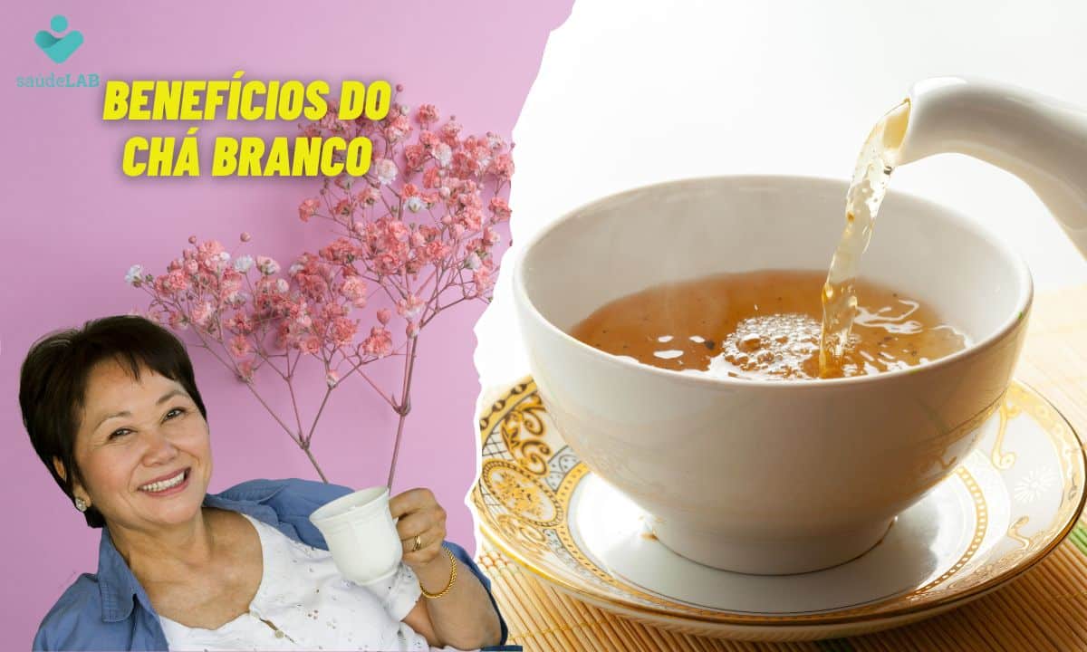 Chá branco: o que é, para que ele serve e como prepará-lo corretamente 1 Benefícios do chá branco.