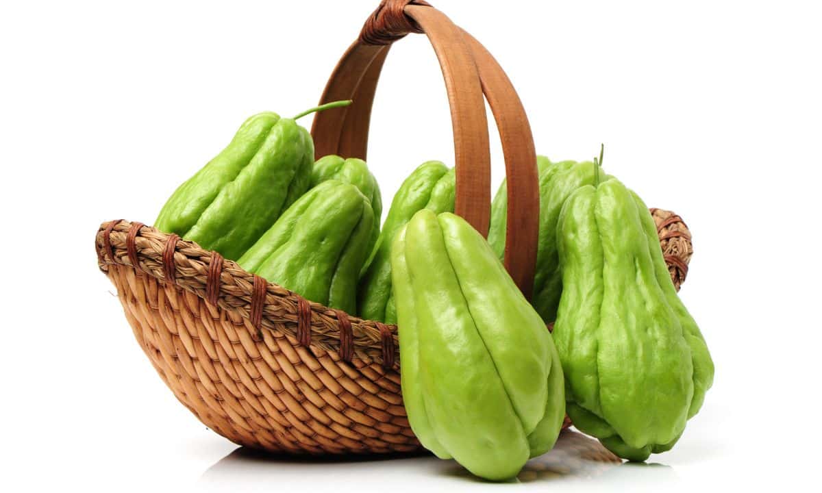 Benefícios do chuchu para a saúde: veja 8 motivos para comer sempre 1 Benefícios do Chuchu.