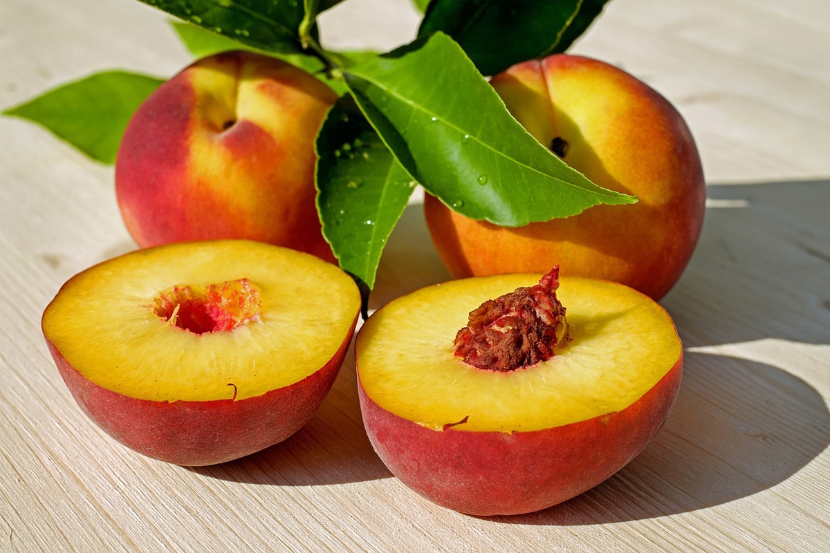 Benefícios do Pêssego: conheça as maravilhas desta fruta que vão além do sabor 1 Fique por dentro dos principais benefícios do pêssego para a saúde