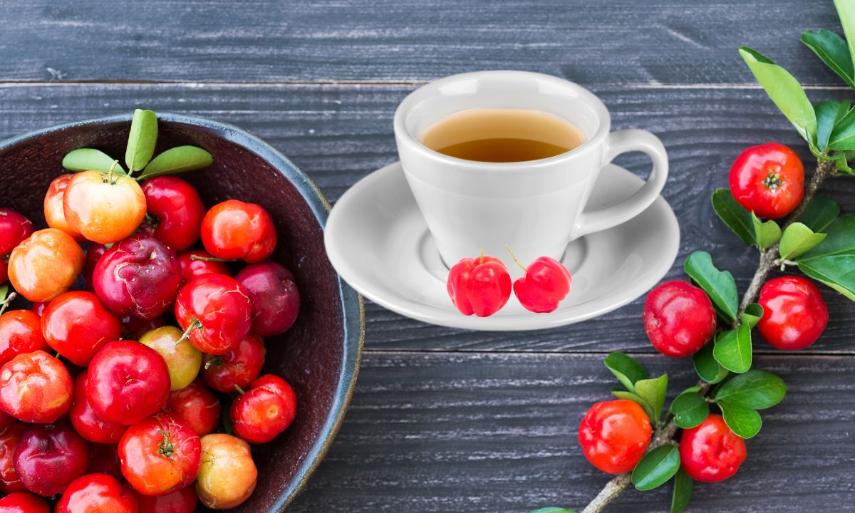 Chá de acerola ajuda a emagrecer e mais; conheça seus benefícios, contraindicações e como fazer 1 Chá de Acerola.
