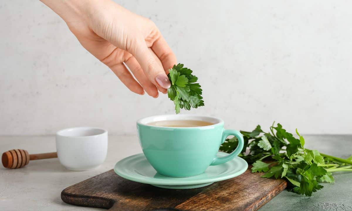 Chá de Salsa: benefícios, contraindicações e como usar corretamente 1 Chá de salsa.