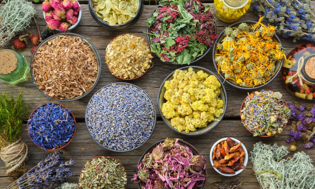 Cuidados Essenciais com Chás Medicinais: da compra até o consumo 1 Chás Medicinais.