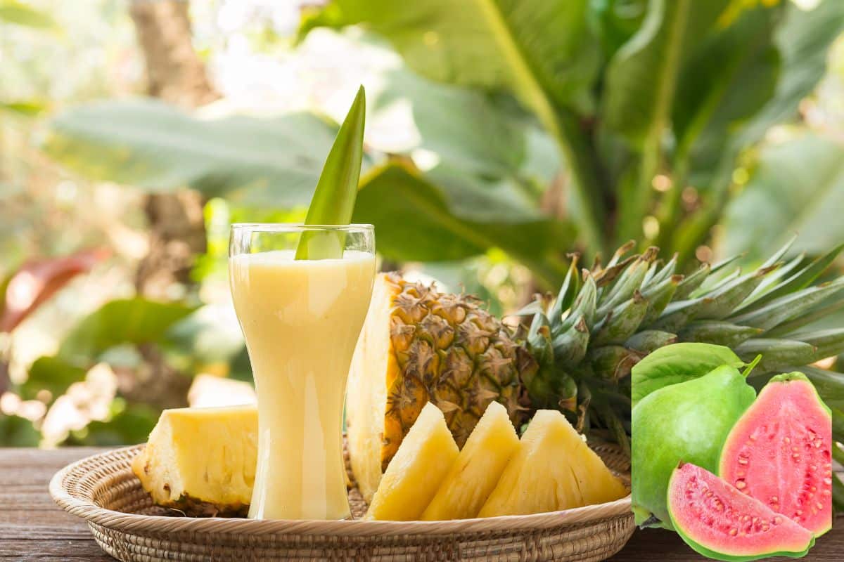 Suco para expelir pedra nos rins: aprenda uma combinação que vai ser uma mão na roda 2 Suco para expelir pedra nos rins