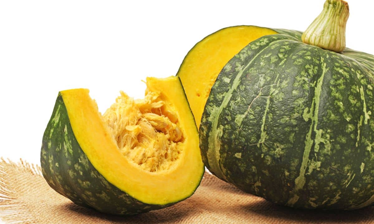 Abóbora Cabotian: como comprar, armazenar, limpar e preparar para o consumo 1 Abóbora Cabotian.