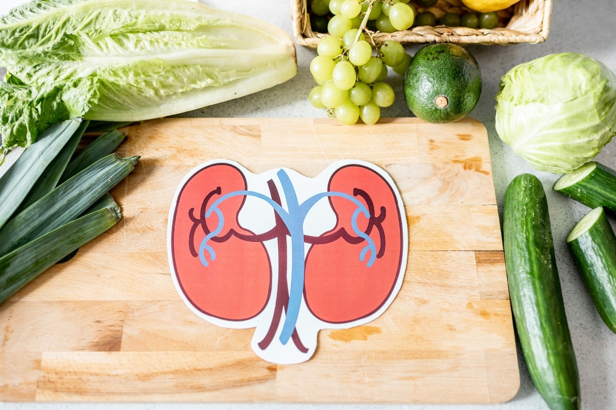 Saiba quais são os 5 alimentos que detonam os rins: evite a insuficiência renal 2 Saiba quais são os 5 alimentos que detonam os rins: evite a insuficiência renal
