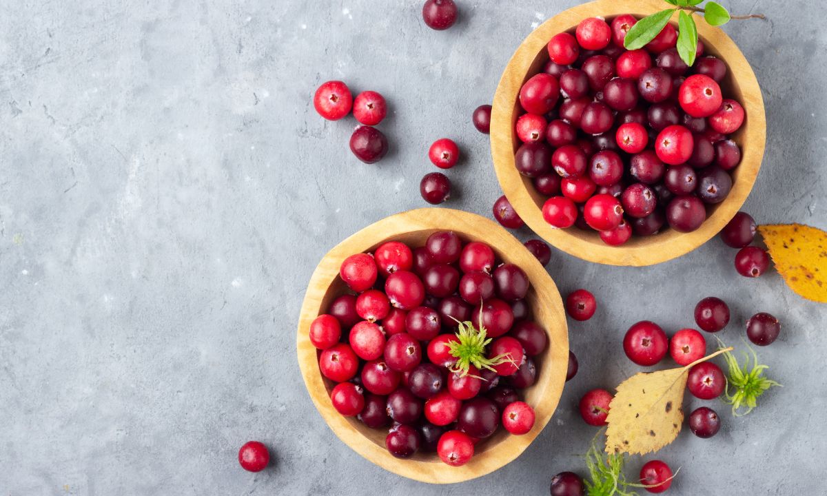 Benefícios do cranberry: veja as propriedades e como consumir a fruta 1 Benefícios do Cranberry.