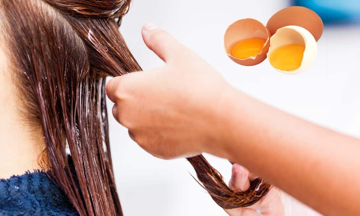 Benefícios do Ovo para os Cabelos: 10 razões para investir nele para hidratação capilar 1 Benefícios do ovo para os cabelos.