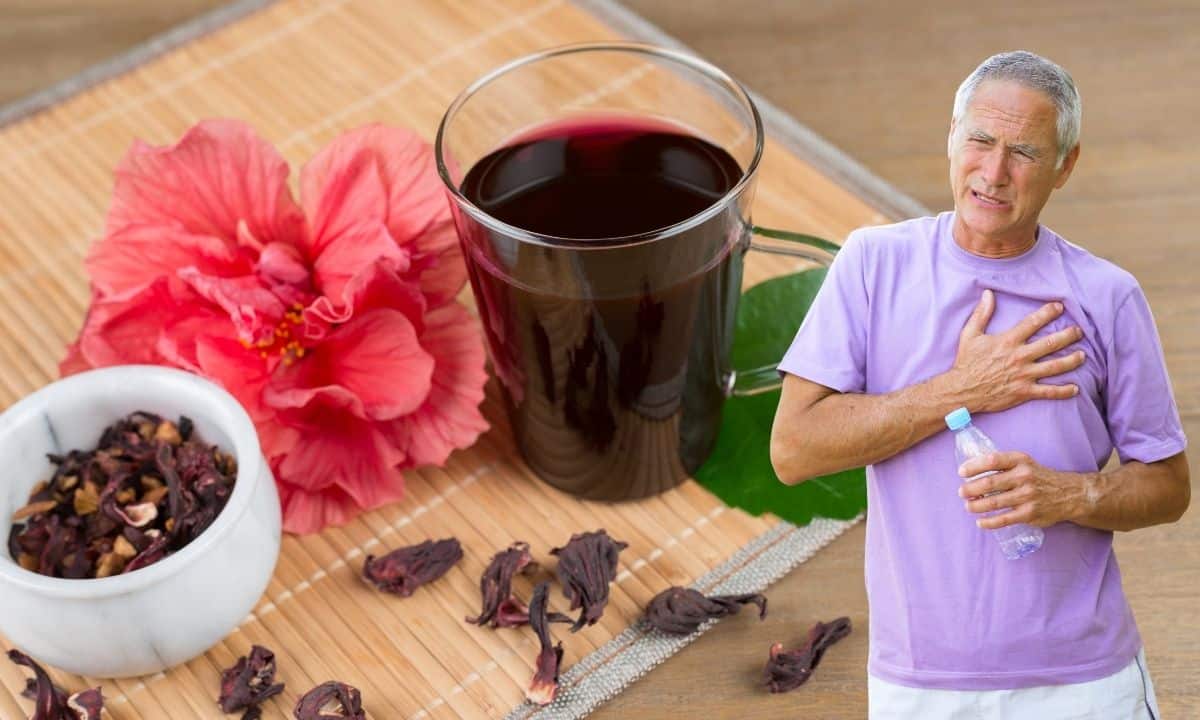 Chá de hibisco faz mal para o coração? Entenda mais sobre seus efeitos 1 Chá de Hibisco faz mal ao coração.