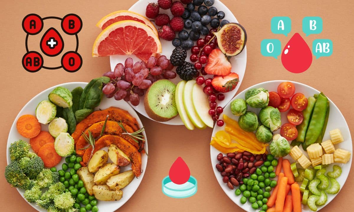 Dieta do Tipo Sanguíneo: conheça melhor e saiba se ela é indicada 1 Dieta do Tipo Sanguíneo.
