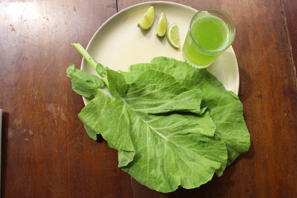 Suco de couve: 03 combinações par variar e nutrir com muito sabor 2 Suco de couve