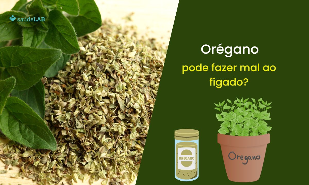 Orégano faz mal para o fígado? Entenda como ele age no organismo 1 Orégano faz mal ao fígado
