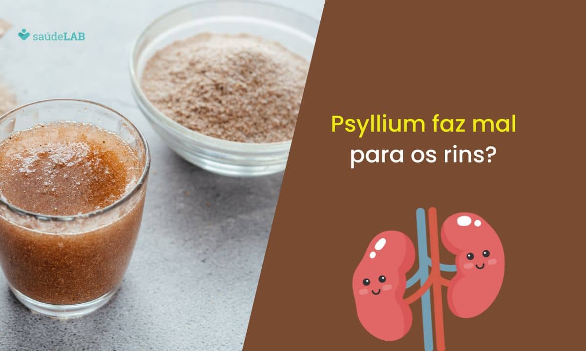 Psyllium faz mal para os rins? Saiba mais sobre esse produto natural 1 Psyllium faz mal para os rins.