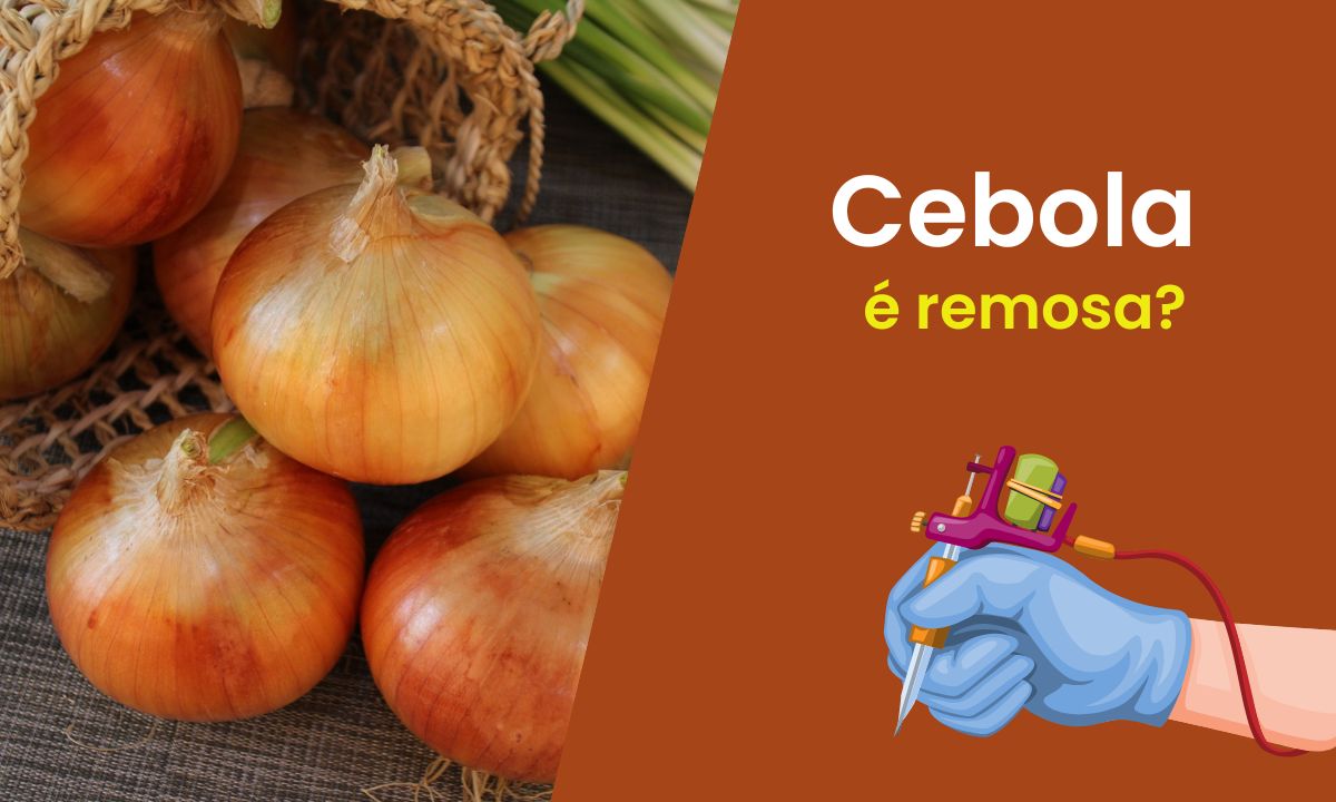 Cebola é remosa ou não? Conheça melhor as suas características 1 Cebola é remosa.
