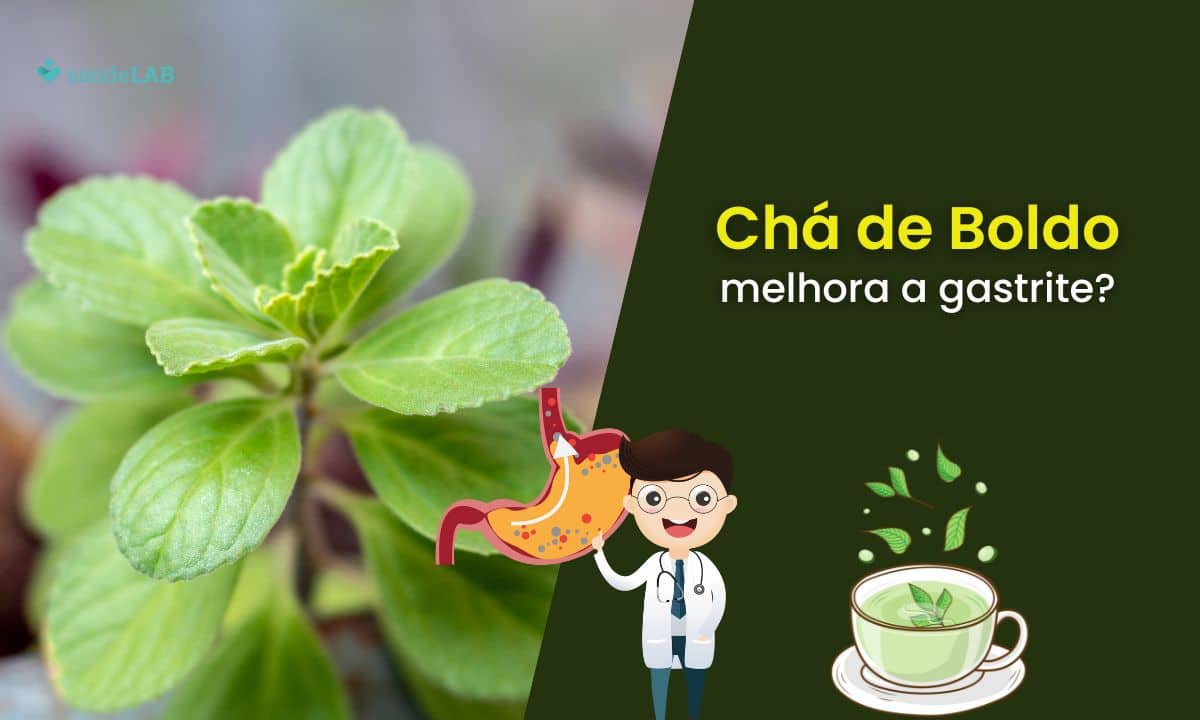 Chá de boldo é bom para gastrite? Saiba de que forma ele pode ser benéfico 1 Chá de boldo é bom para gastrite.