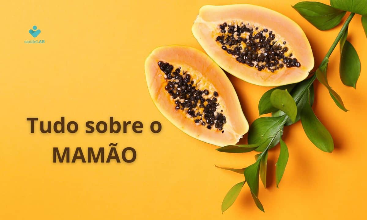 Mamão: como comprar, armazenar, limpar e preparar para consumir sem problemas 1 Tudo sobre o mamão.