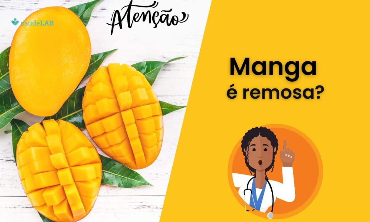 Manga é remosa? Conheça seus principais benefícios e malefícios 1 Manga é remosa.