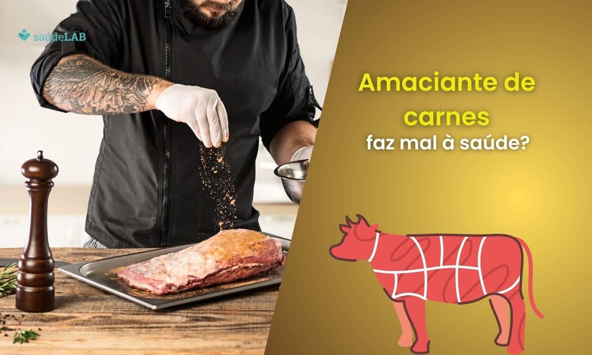 Amaciante de carne faz mal para a saúde? Entenda mais sobre isso 1 Amaciante de carnes faz mal à saúde.
