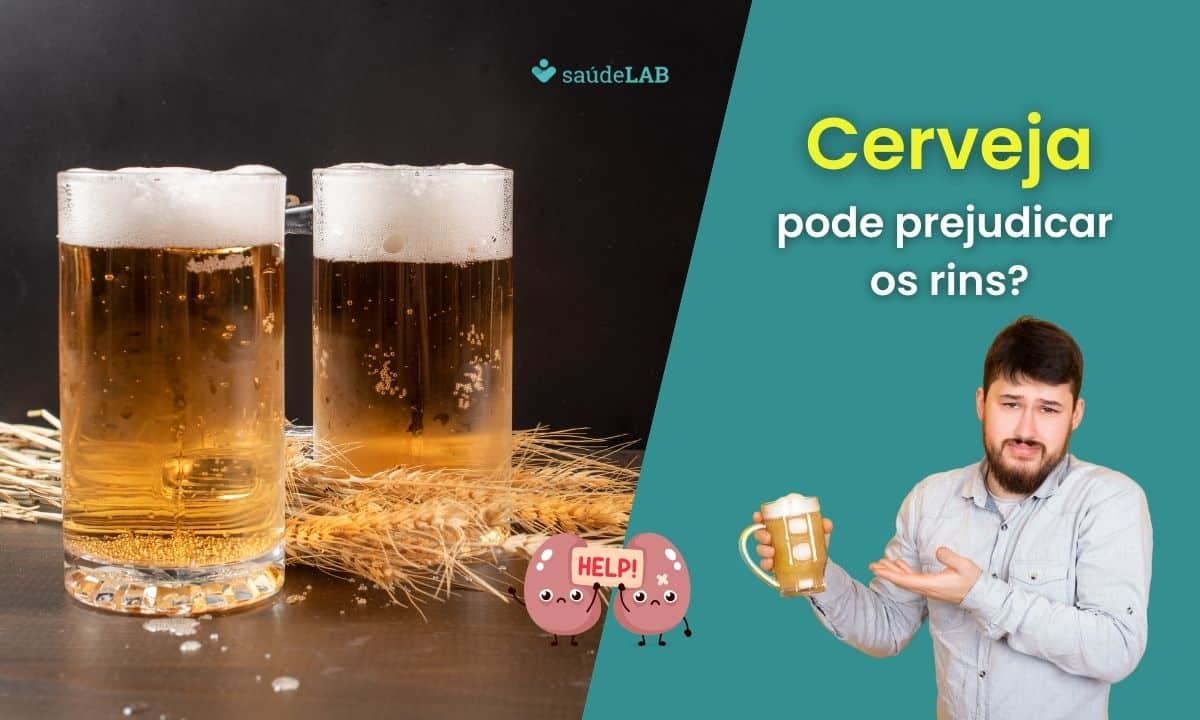 Cerveja faz mal para os rins? Conheça os malefícios que ela apresenta 1 Cerveja faz mal para os rins.