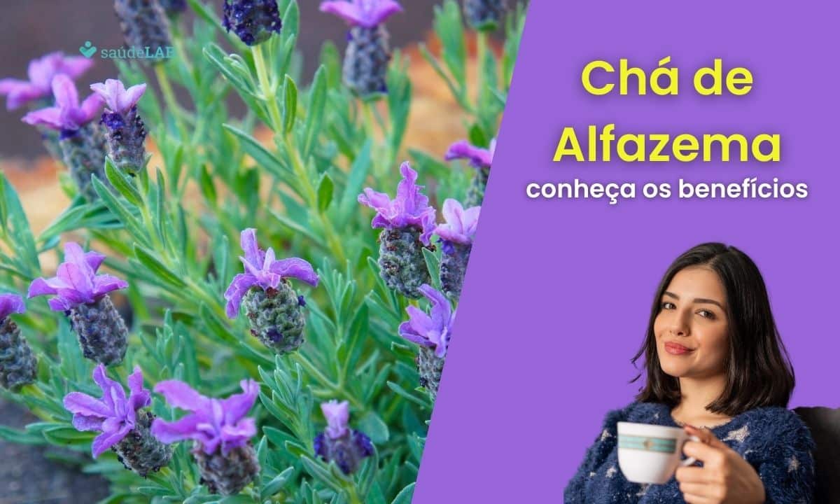 Chá de Alfazema é bom para quê? Conheça seus benefícios incríveis 1 Chá de Alfazema é bom pra quê?
