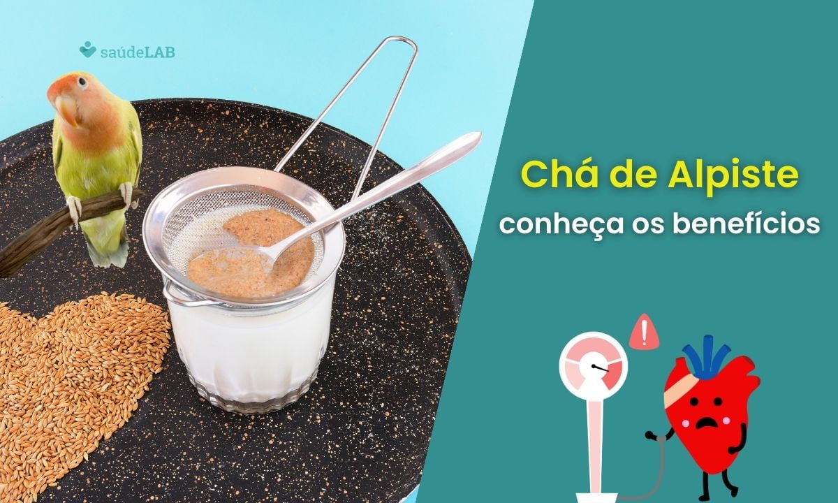 Chá de alpiste para pressão alta: será que funciona mesmo? Entenda 1 Chá de Alpiste para Pressão Alta.