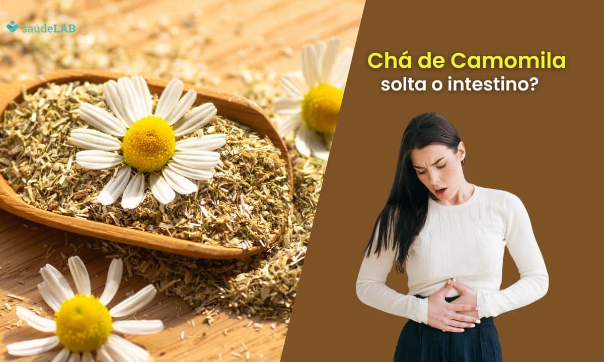Chá de camomila solta o intestino? Veja se é possível usar com essa finalidade 1 Chá de camomila solta o intestino.