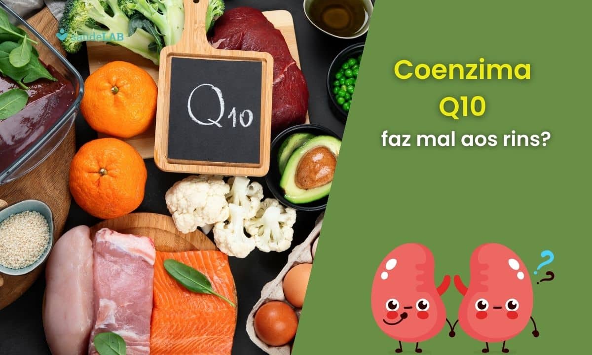 Coenzima Q10 faz mal para os rins? Conheça melhor sua funcionalidade 1 Coenzima Q10 faz mal aos rins.