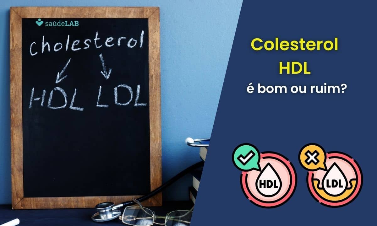 Colesterol HDL é bom ou ruim? Saiba o que é, para que serve no organismo 1 Colesterol HDL é bom ou ruim.