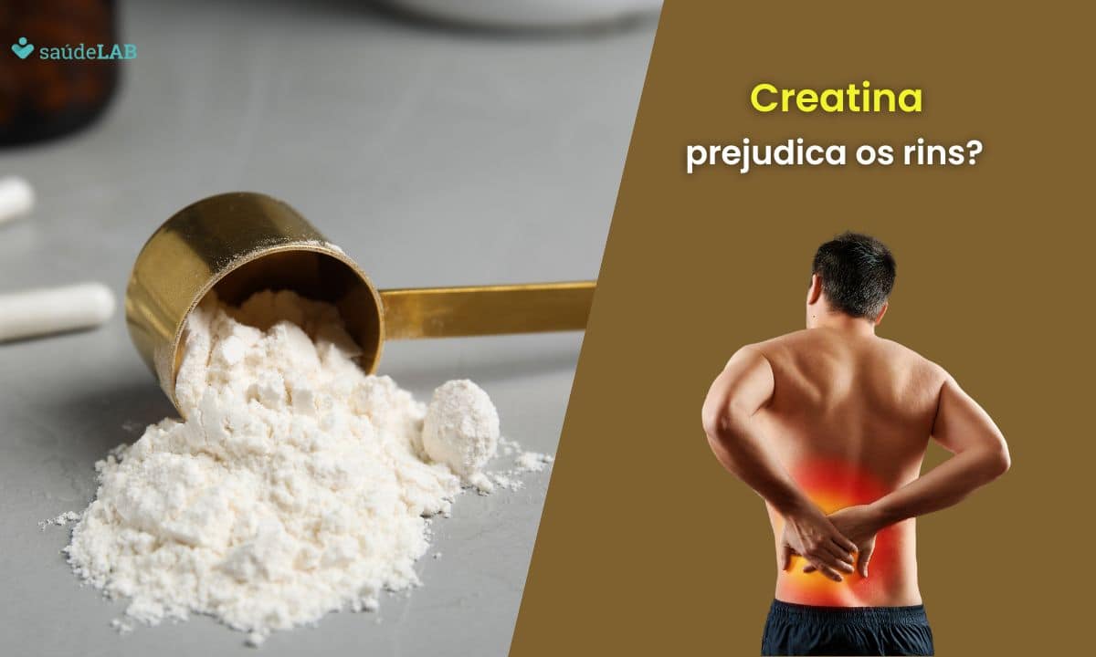Creatina faz mal para os rins? Entenda seus efeitos e os perigos envolvidos 1 Creatina faz mal para os rins.
