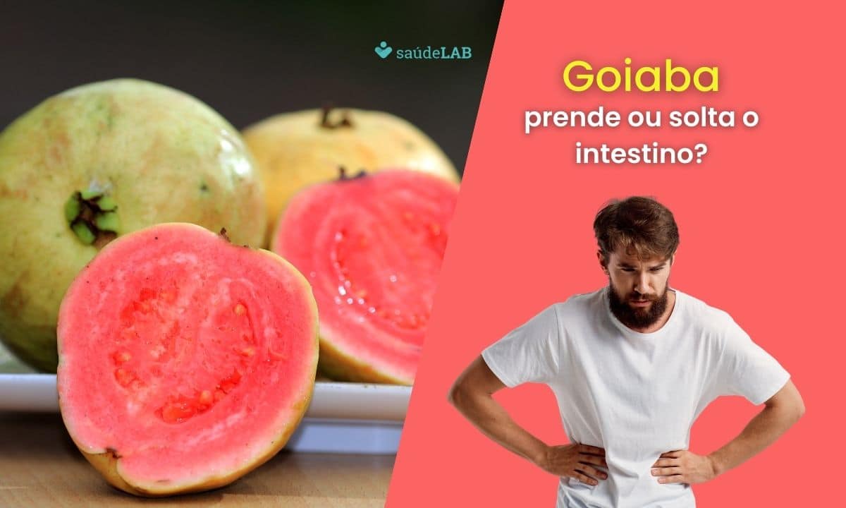Goiaba prende ou solta o intestino? A resposta vai te surpreender 1 Goiaba prende ou solta o intestino.